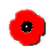 poppy.gif (662 bytes)